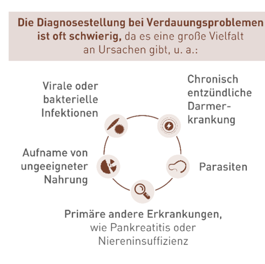 Diagnosestellung